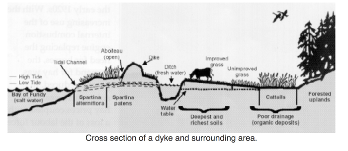 Acadian Dykeland Schema