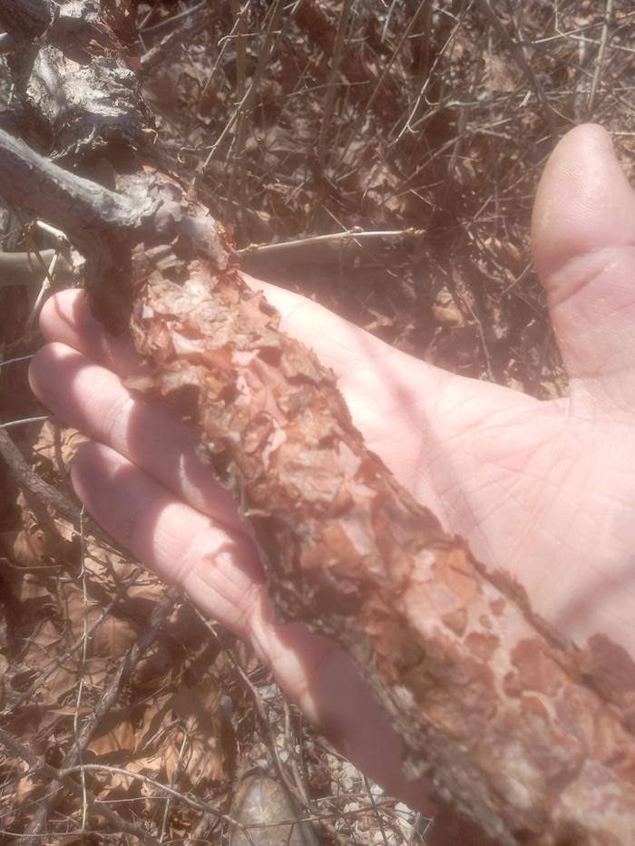 [Thumbnail for 20230226_122313.jpg]