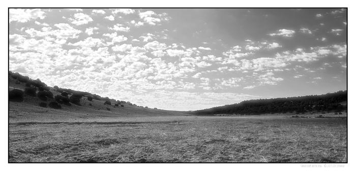 A black & white image of a dry, brown valley with my dog running towards me