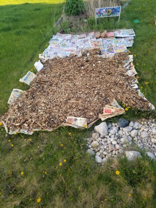 removed cardboard and replaced with newspaper 