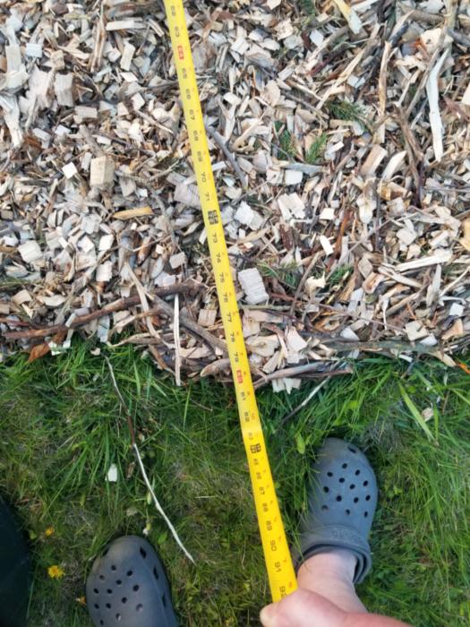 6.5' wide