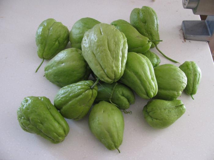 Chayote (chokos)