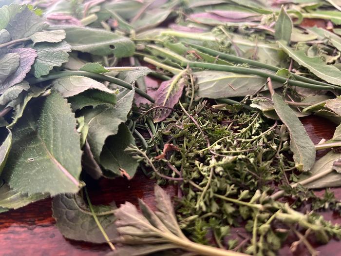 [Thumbnail for IMG_0181.jpeg]