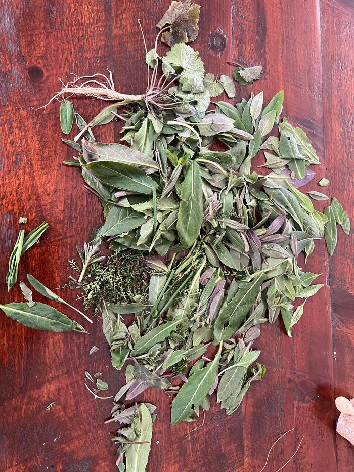 [Thumbnail for IMG_0180.jpeg]