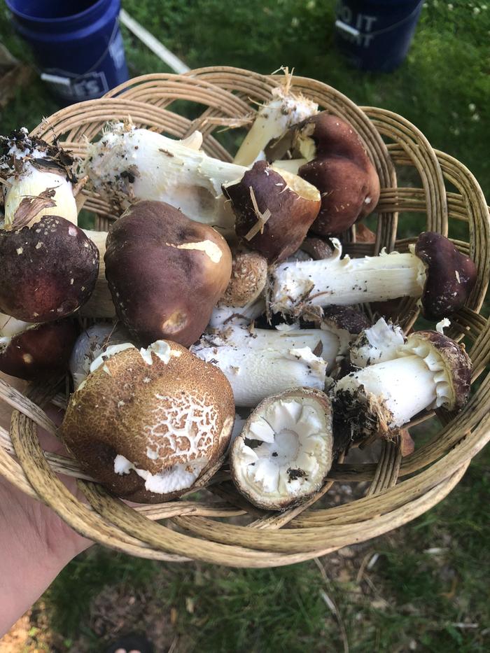 [Thumbnail for 3DE600CB-AEF7-4664-A6BF-C53E4F5B9FA3.jpeg]