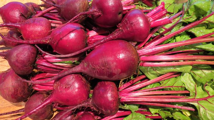 beet harvest