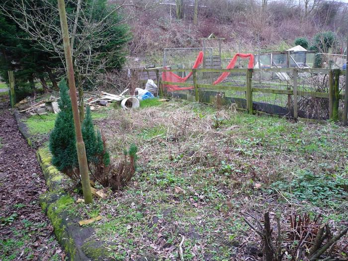 I got this allotment garden for only this year, it was overgrown, wild and not maintained