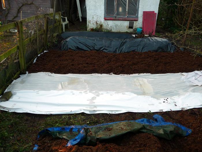 The rest will be a very cheap version of sheet mulch, because I dont have any soil to use