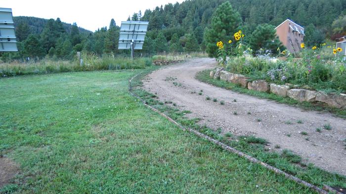 Planting cover crops on these new beds last year was great