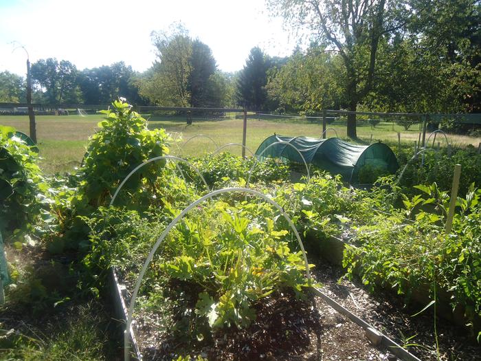 Raised bed garden in Fall 2012