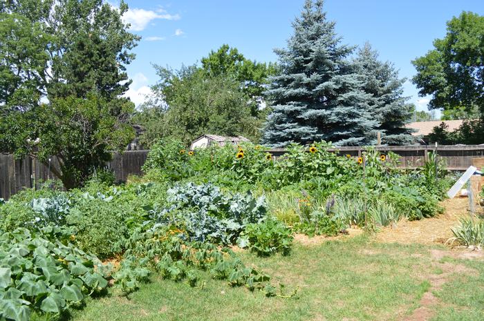 I intensively farm roughly an acre using permaculture principles