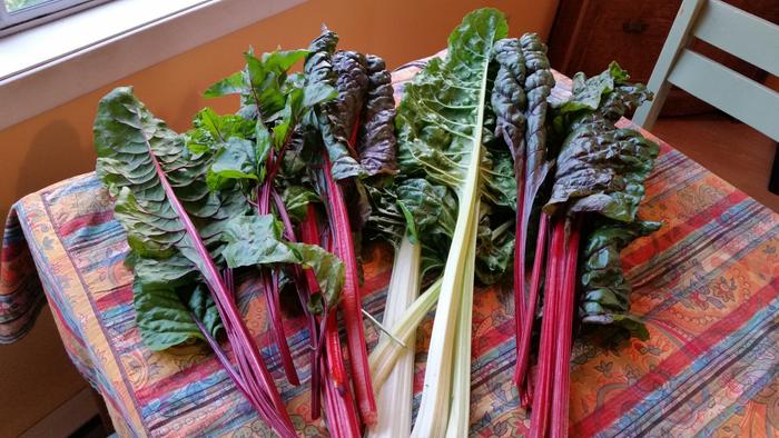 chard on my friend's table