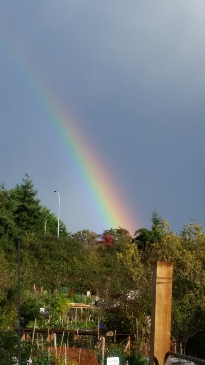 There were two rainbows. This one was brilliant