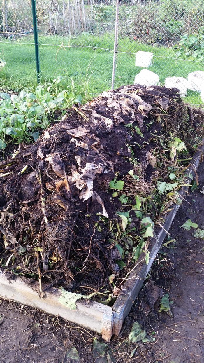 A big compost was built