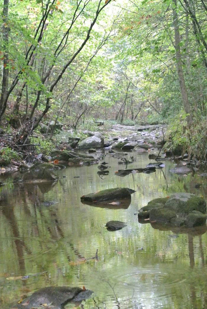 a hike up a creek the bisects our land