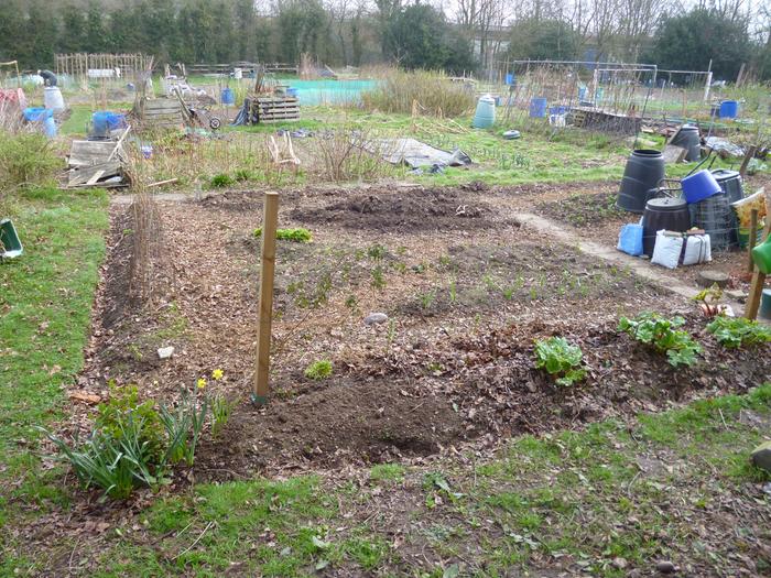 my little allotment west