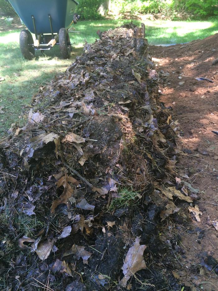 organic matter
