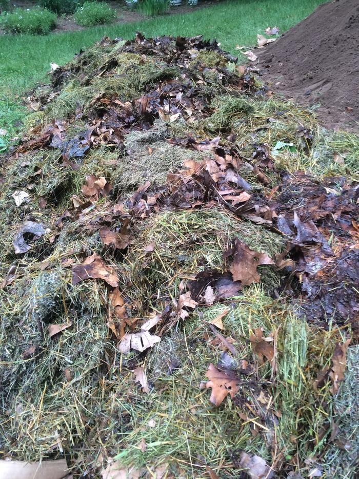 organic matter
