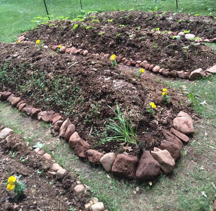 Also lined all the beds with the bountiful New England stones