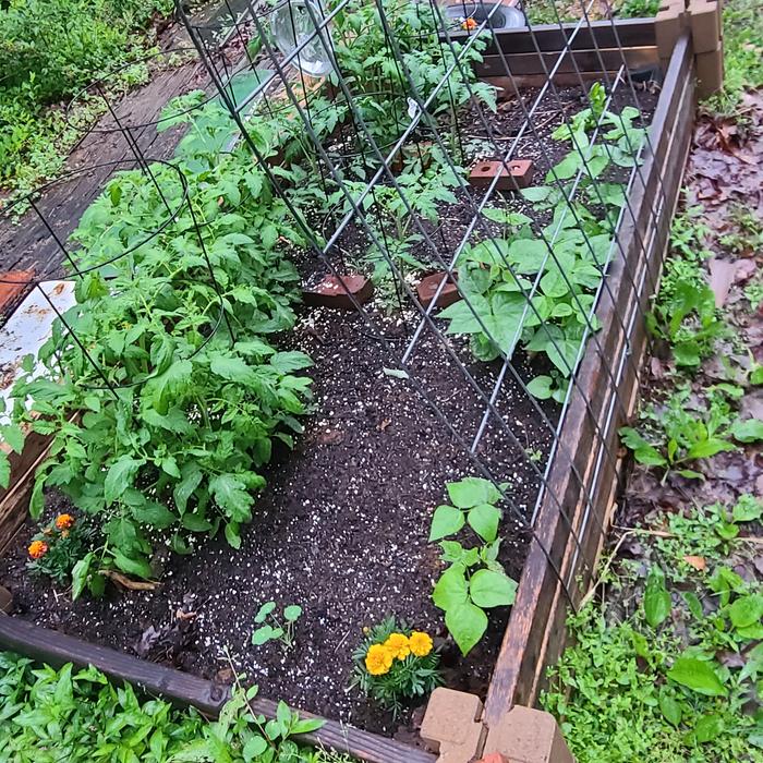 Raised bed 3