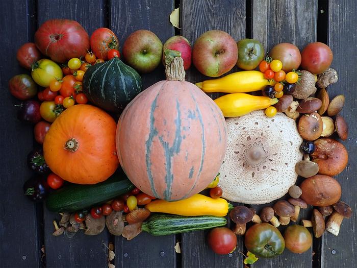 Autumn is coming ;) 