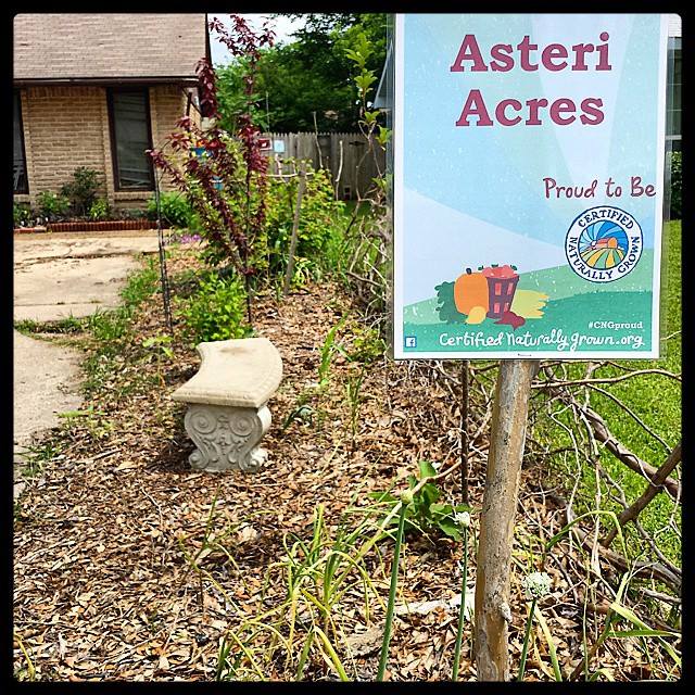 [Thumbnail for CNGProud.jpg]