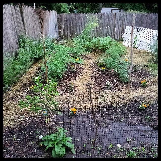 [Thumbnail for KMG.jpg]