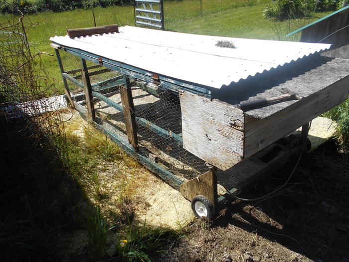 chicken tractor