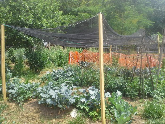 shade cloth
