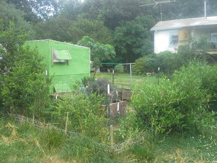 Home made greenhouse