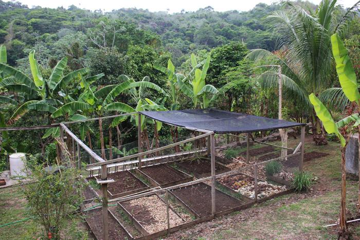 beds we inherited at our new tropical homestead