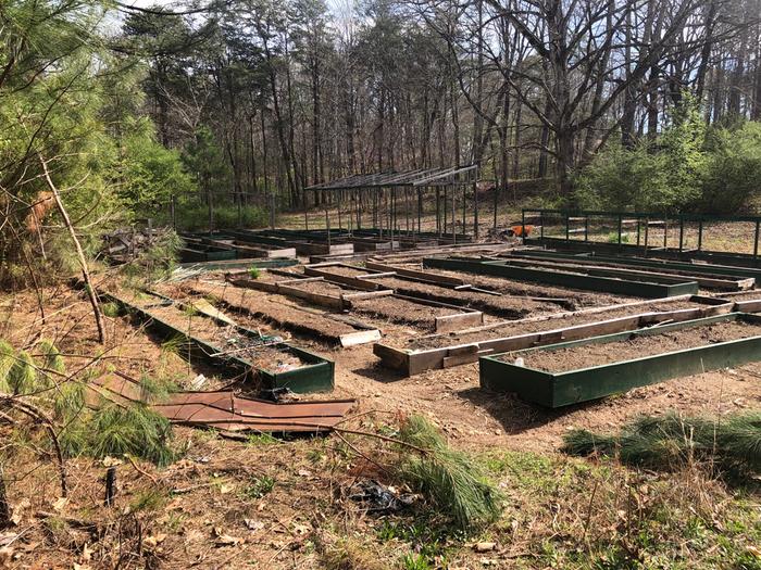 [Thumbnail for 697DD285-BD20-4A96-BEDA-720E5CDBD798.jpeg]