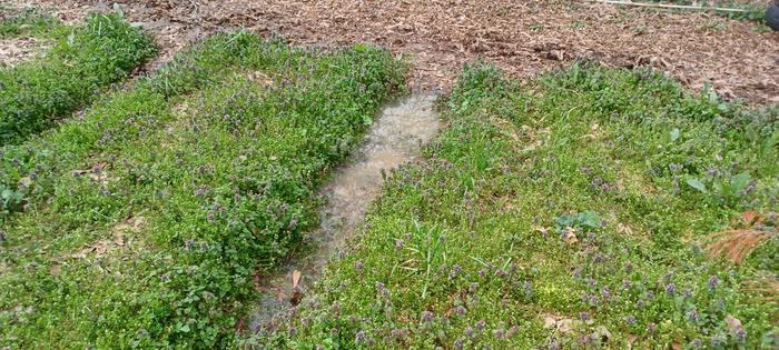 [Thumbnail for 20220318_170652.jpg]