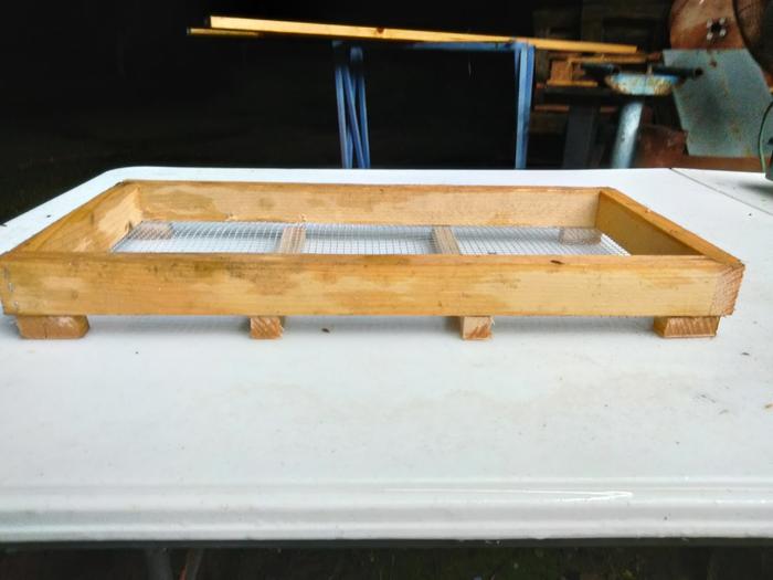 Diy seed tray 