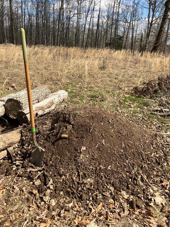 topsoil pile growing