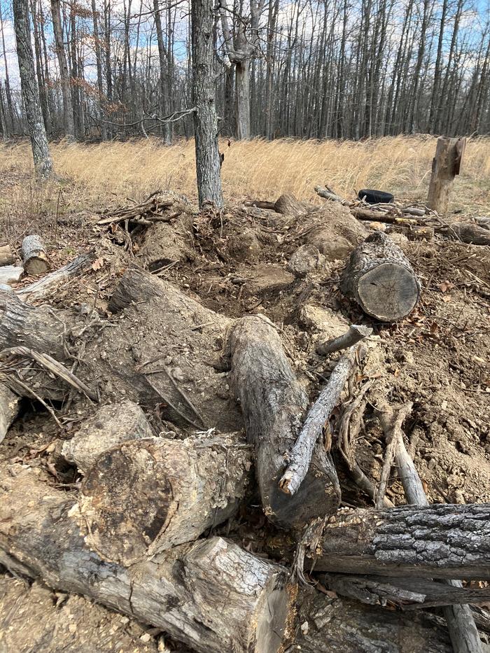 getting down to base logs at hugel site