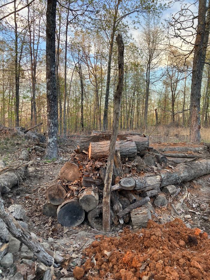 Stack at end of day yesterday, with 7 ft pole for scale