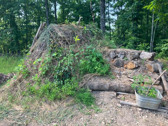 Mulch remediation and staking for some tomatoes and peas