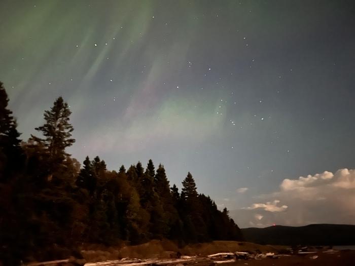 An aurora over trees on a lakeshore