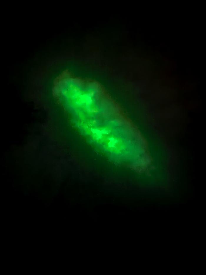 [Thumbnail for IMG_5058.jpeg]