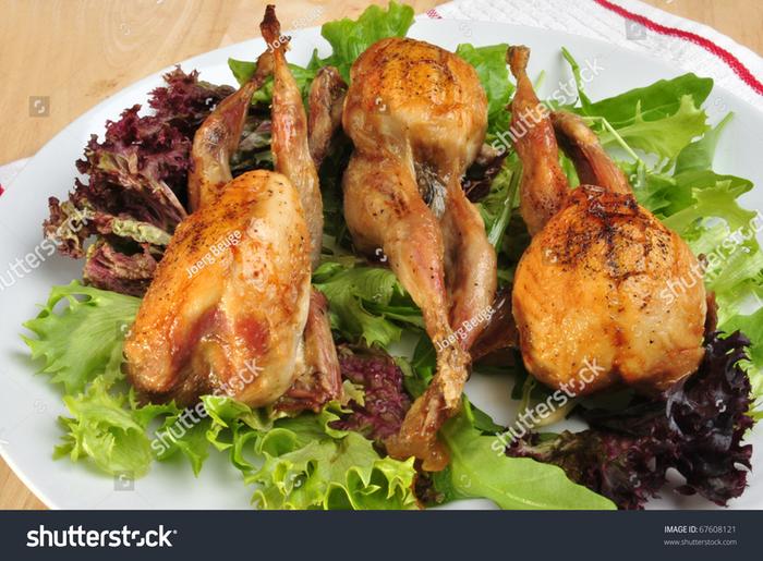 [Thumbnail for stock-photo-grilled-quails-on-a-plate-with-salad-67608121.jpg]