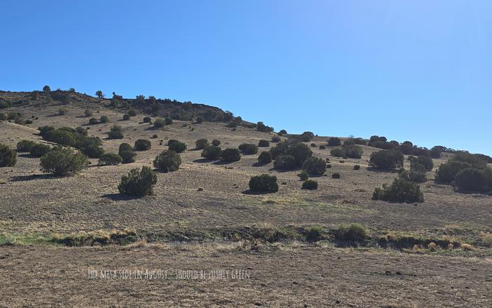 One month into our monsoon season - this hillside should be lushly green by now