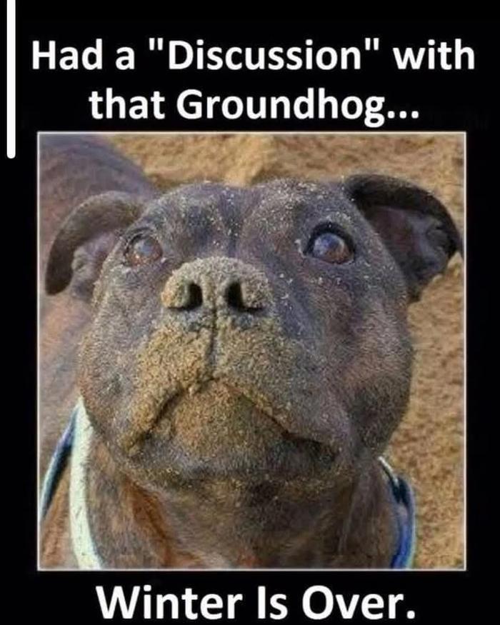 [Thumbnail for FB_IMG_1770075811275.jpg]