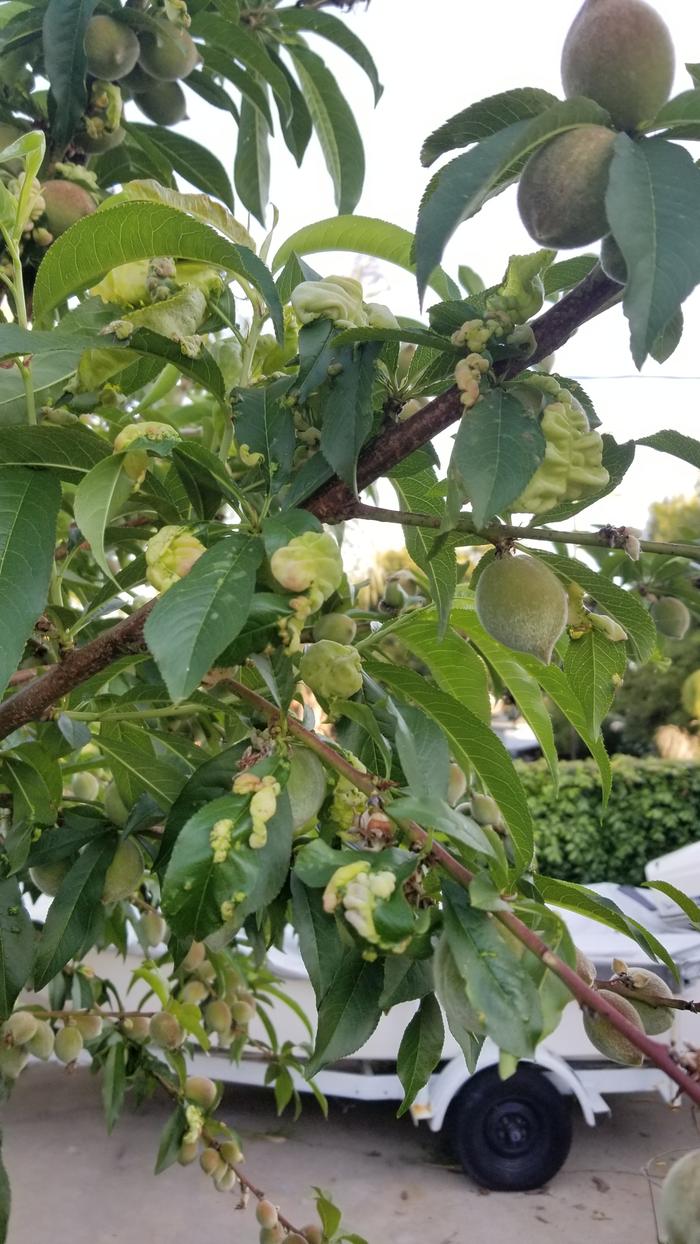 [Thumbnail for 20200424_182736.jpg]