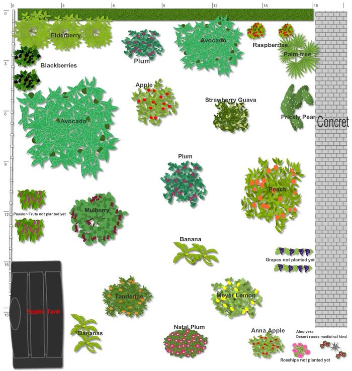 Orchard design 