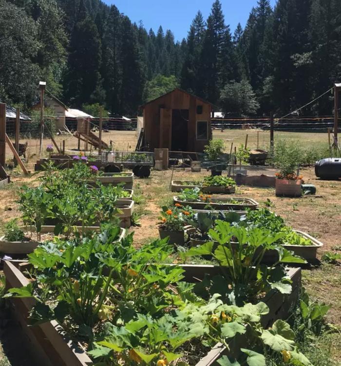 garden looking southwest