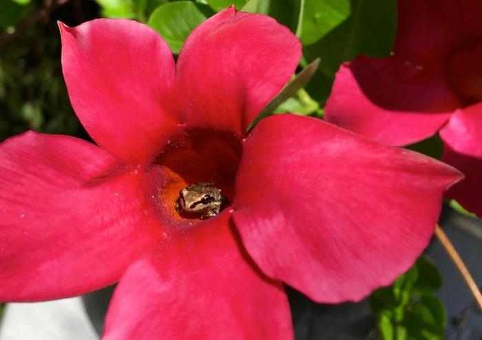 Just to keep on topic, here...