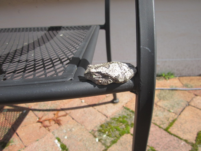 [Thumbnail for IMG_3365.JPG]