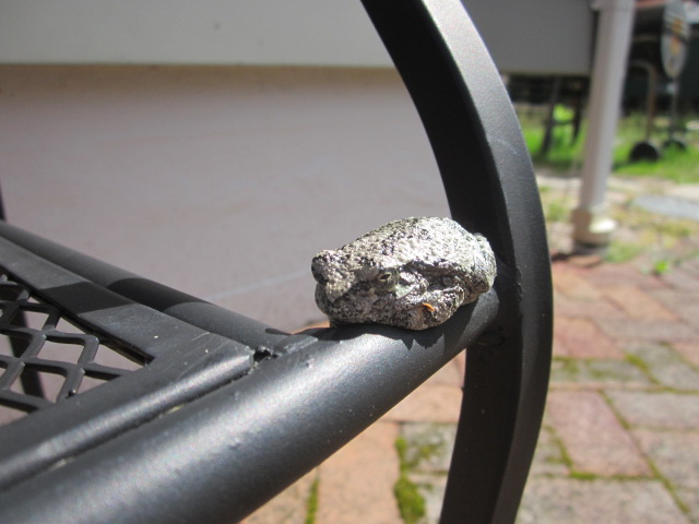 [Thumbnail for IMG_3367.JPG]