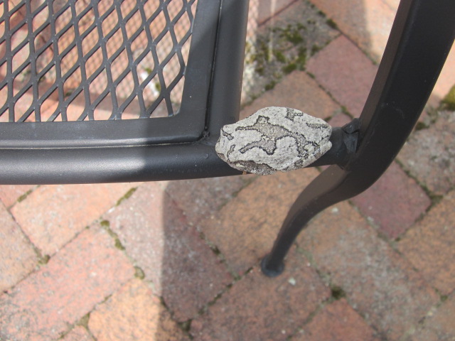 [Thumbnail for IMG_3369.JPG]